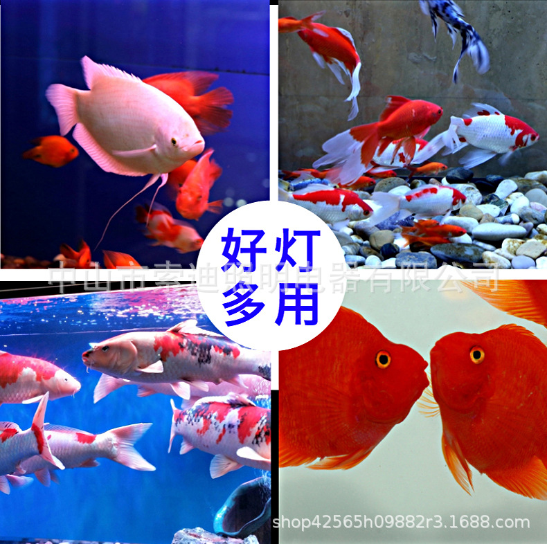 T8双排灯详情 8.jpg