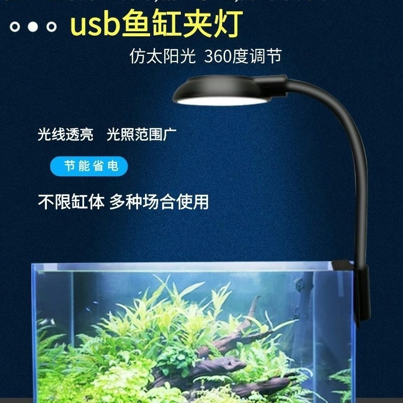 fdfdef60-7e25-4bc1-b0e5-972757bbe0b1.jpe