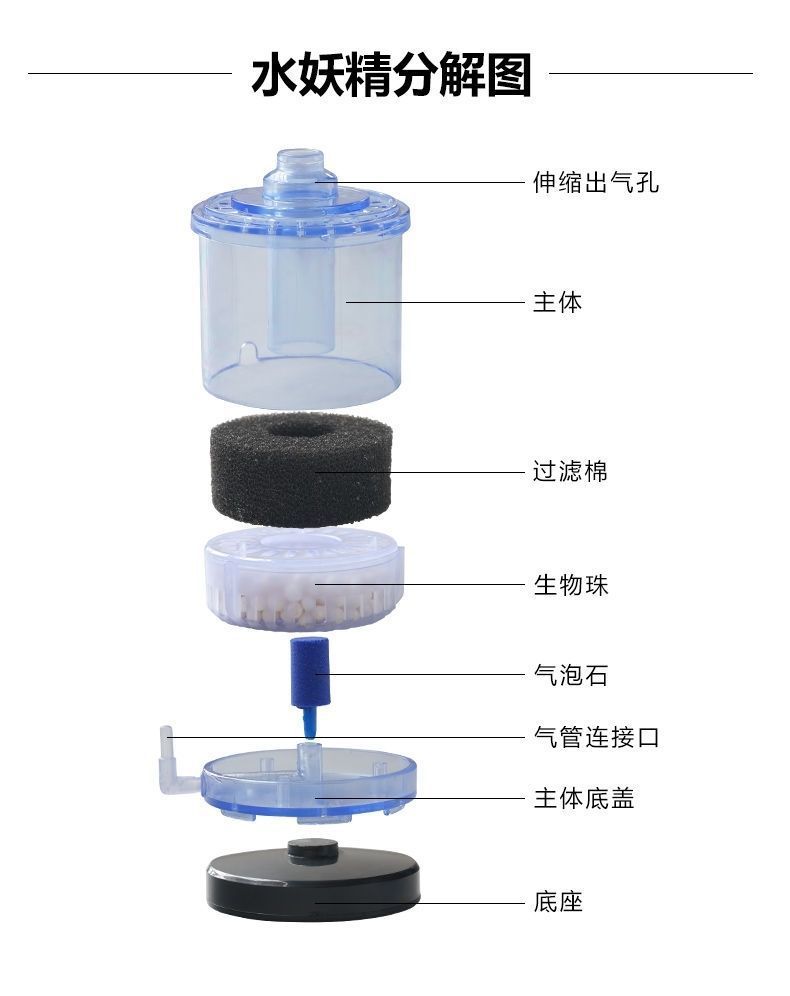 64d2409e-77d8-491a-9219-a2182e1552ea.jpe