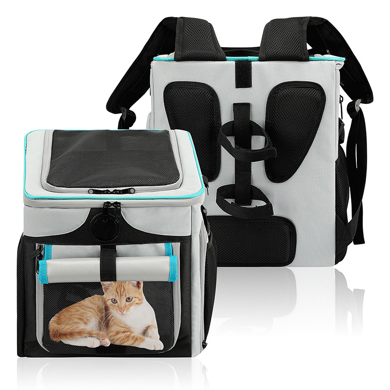 CW51671首图001 (8)