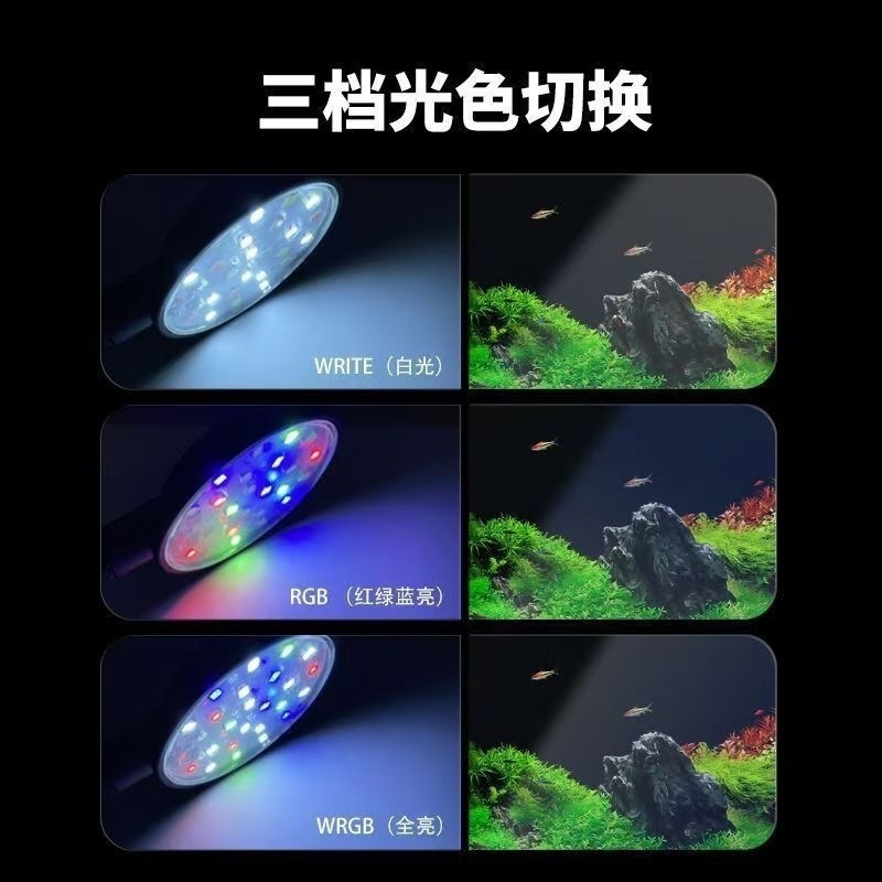 18d25938-0307-48d6-b32c-243480735ada.jpe