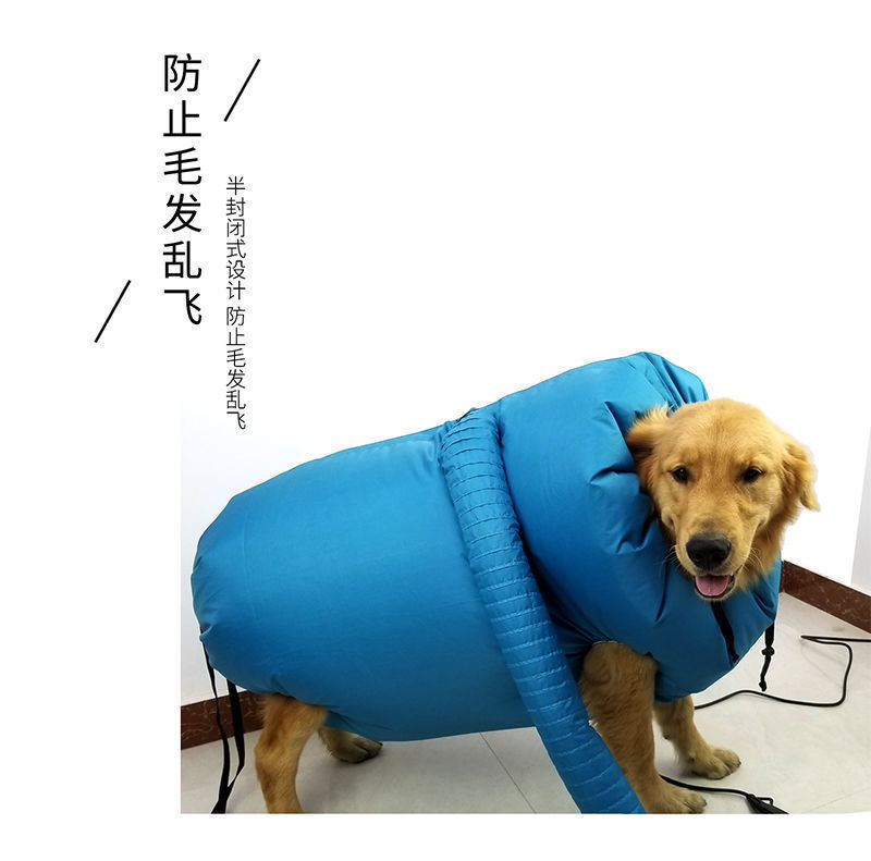 0727d8fe-5841-4755-82d0-0e7e5faa12cc.jpe