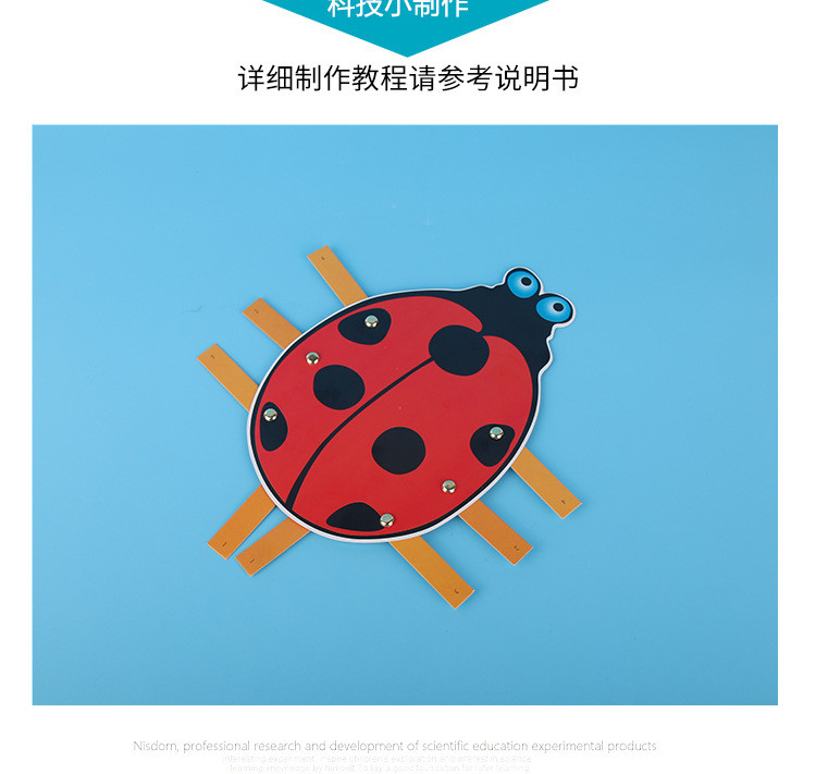 昆虫运动_07.jpg