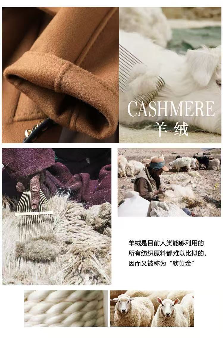 微信图片_20250908142050_323_8