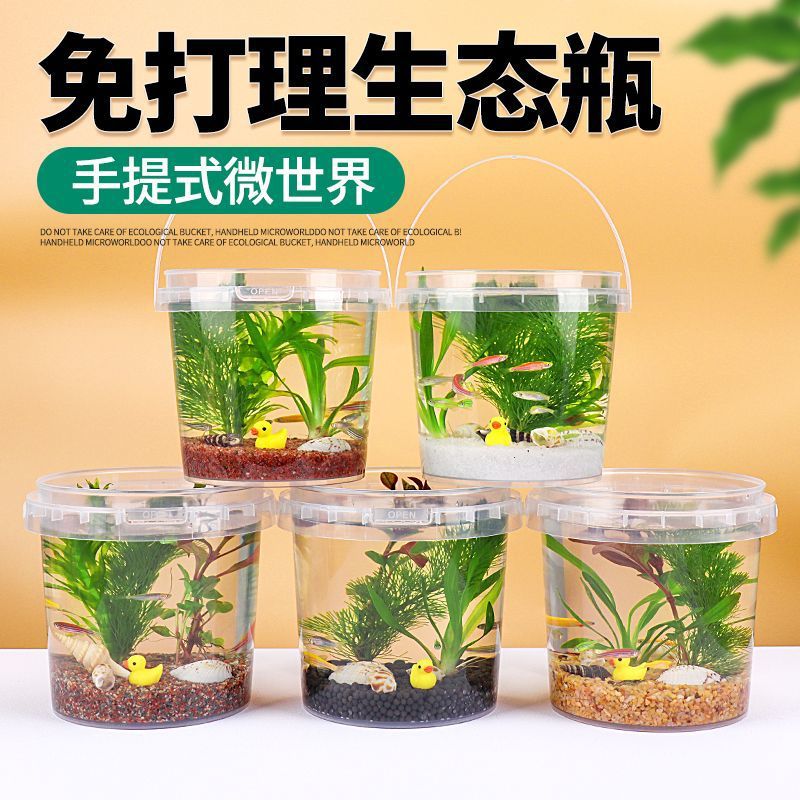 89ffb661-32bb-4f90-94ff-4ca844ed02d3.jpe