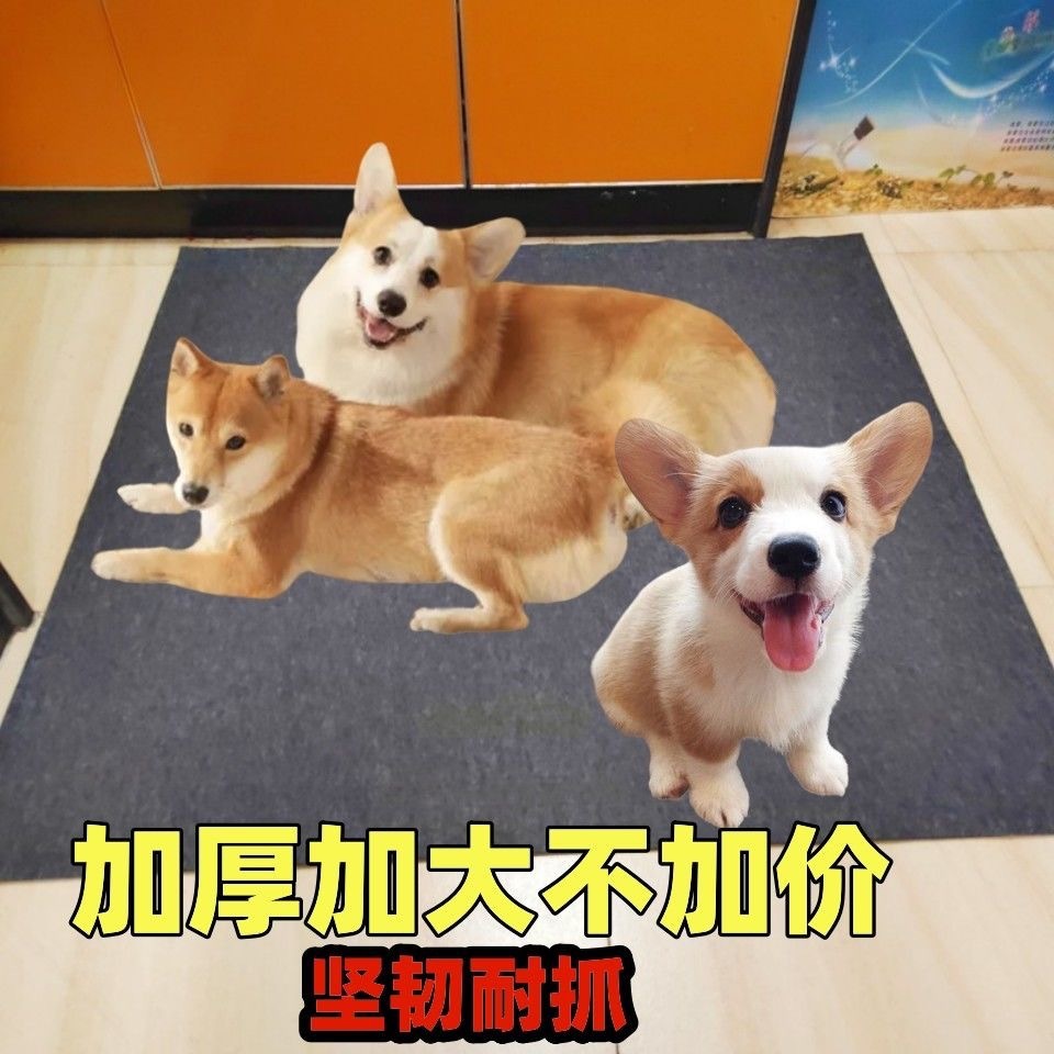 9efe3adc-9c03-4863-8544-c463fad0c436.jpe