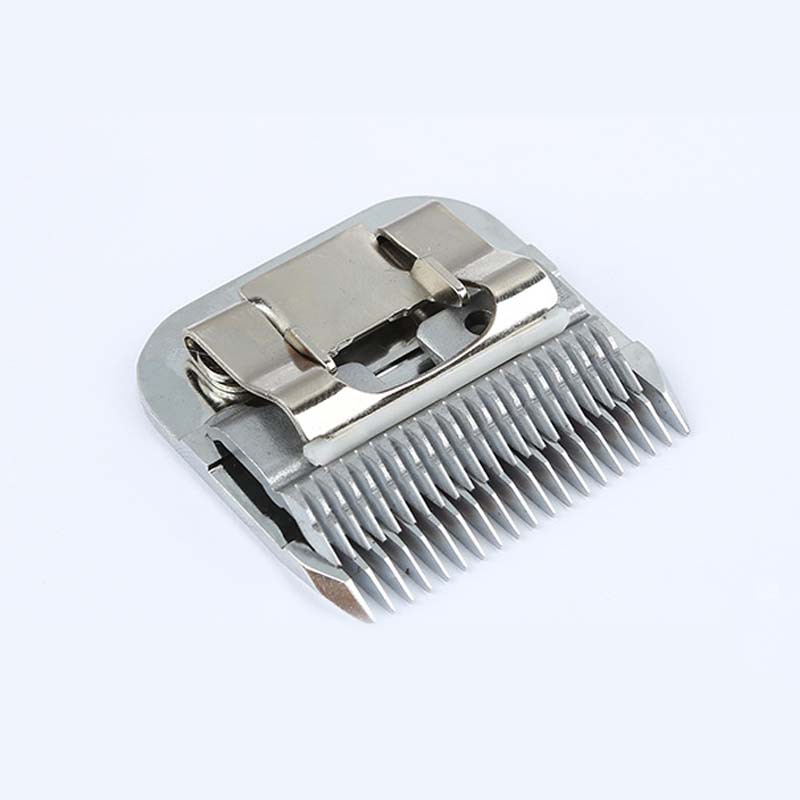 2665844269_1974719260