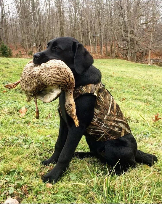 微信图片_20220730114821