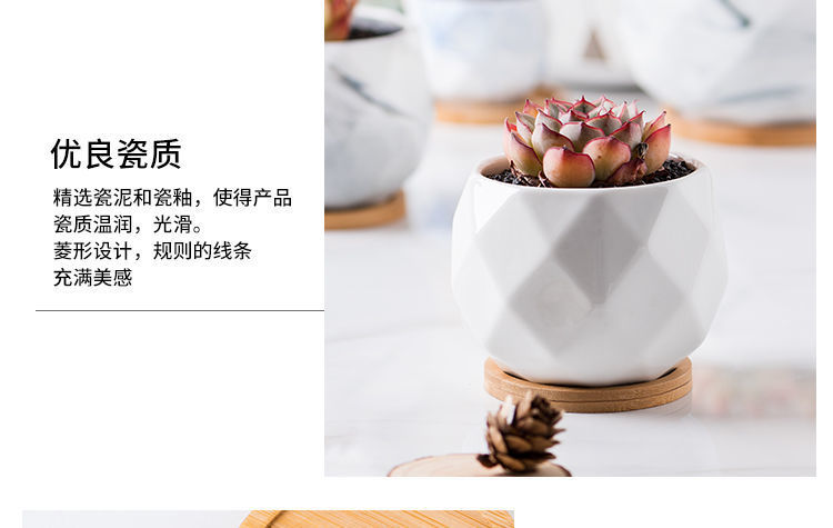 7150e105-75e0-4bcb-af0f-f9174c19045f.jpe