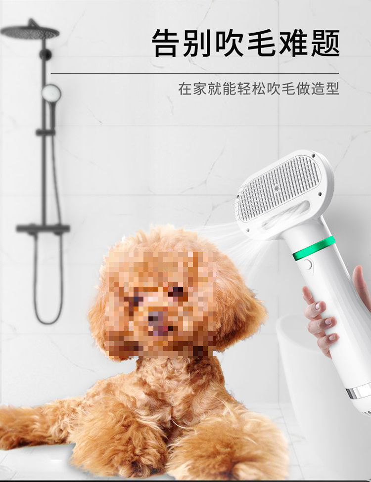 b9ed2164-59c2-423e-a230-a39354b8cc5d.jpe