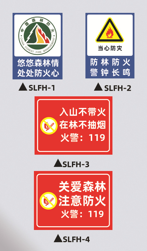 森林-2.jpg