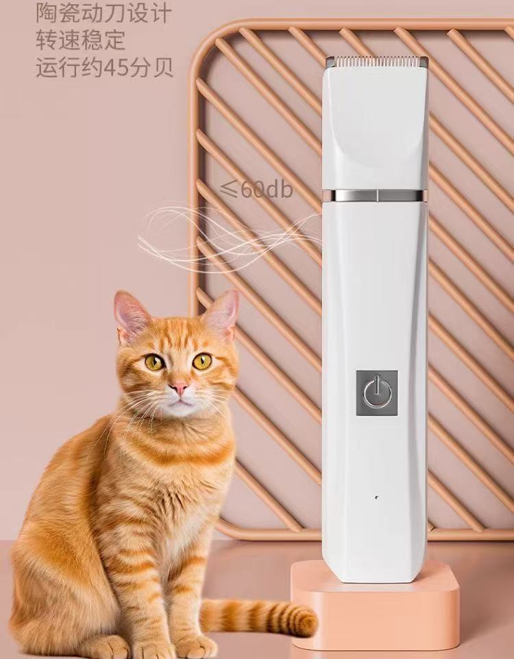 ed4f273a-3769-4e0b-8bcb-85caf8ae8e03.jpe