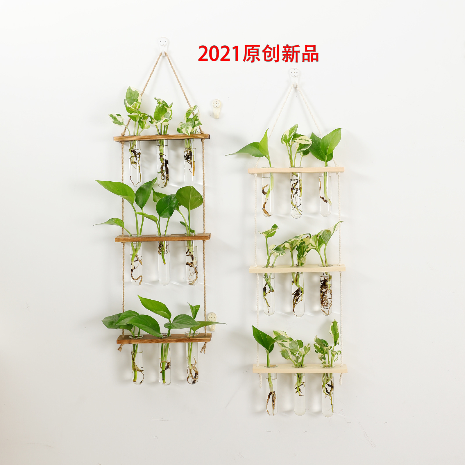 O1CN01Mgxqq51CYdW9TWJb9_!!2210