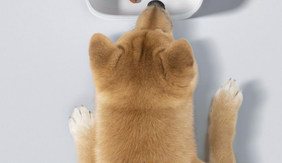 fa8b19c9-0ee3-4e8c-9e74-cccee0df3467.jpe