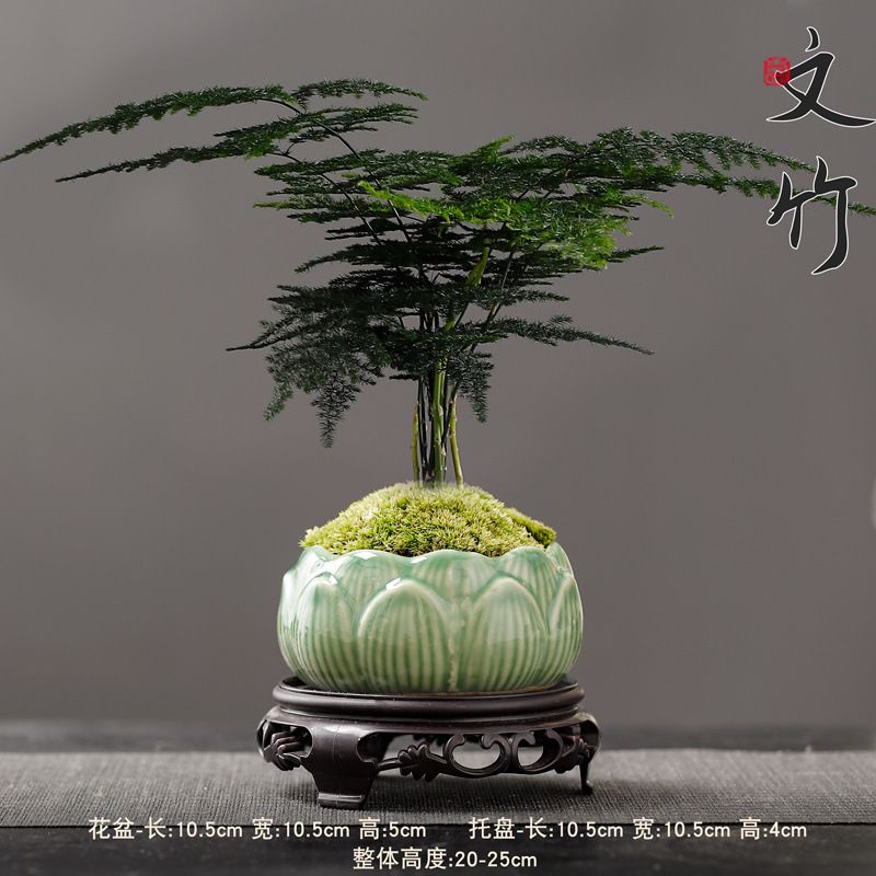 a913247c-4e55-469c-8d72-d3b84450103a.jpe