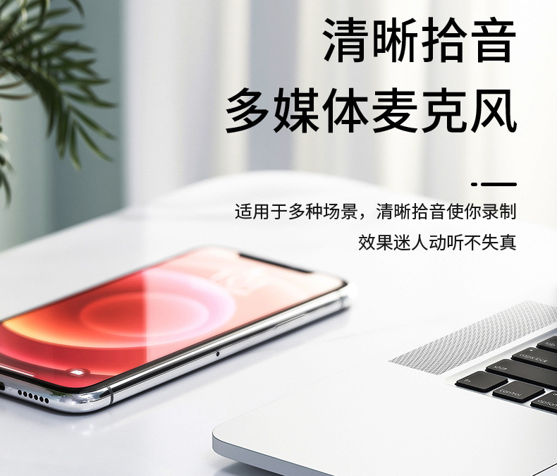 音响一体麦克风