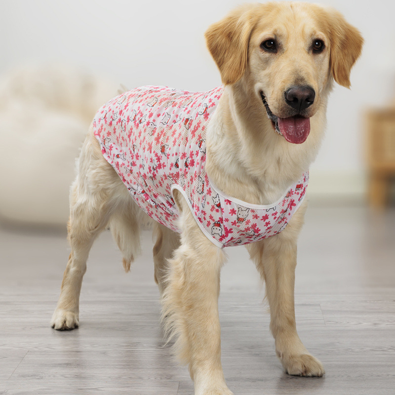 f98fc9ee-064b-4b44-ac20-aaa98b59f3cf.jpe