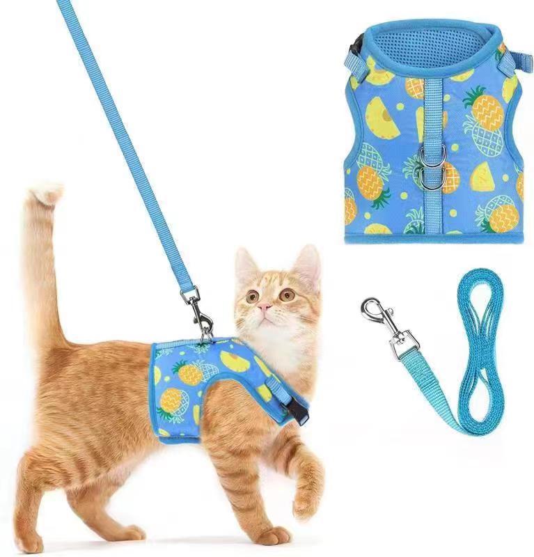 323ba9d4b7a397f5f751c0b7f160f2