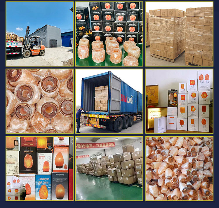 微信图片_20220326152238_04