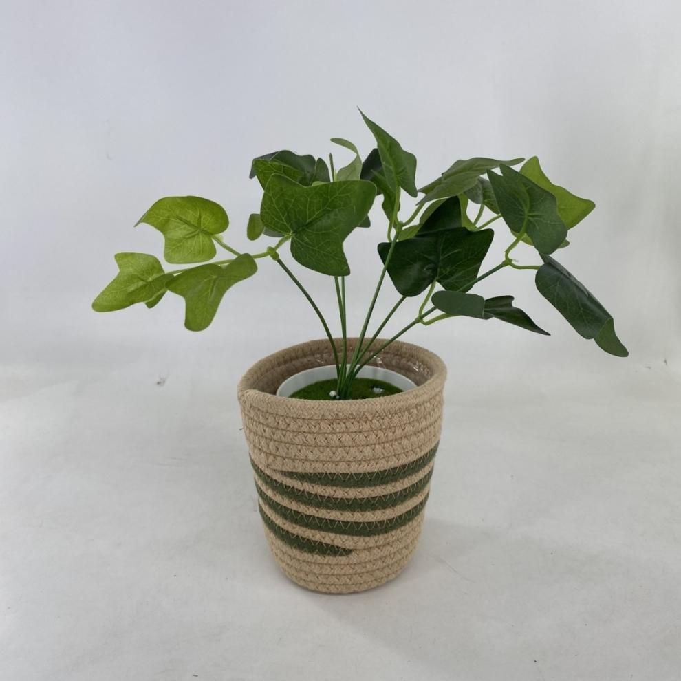 adac136b-8801-4b99-95c4-80fea240999b.jpe