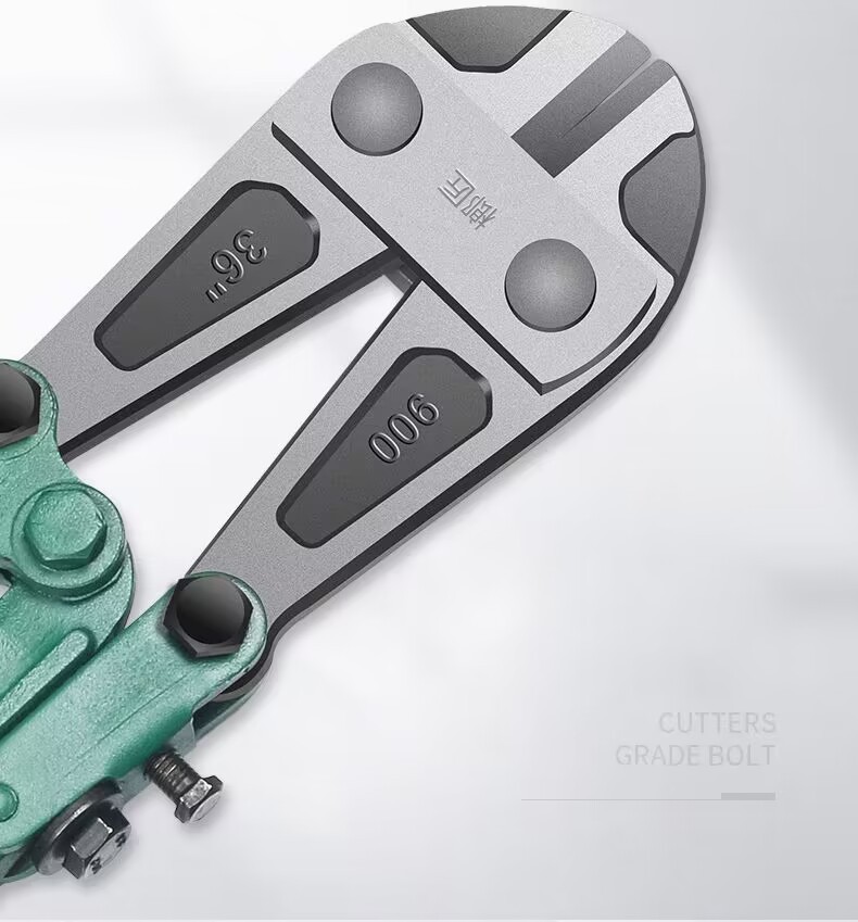 8d0caa02-5e30-4a27-92d3-4b0eaade9312.jpe