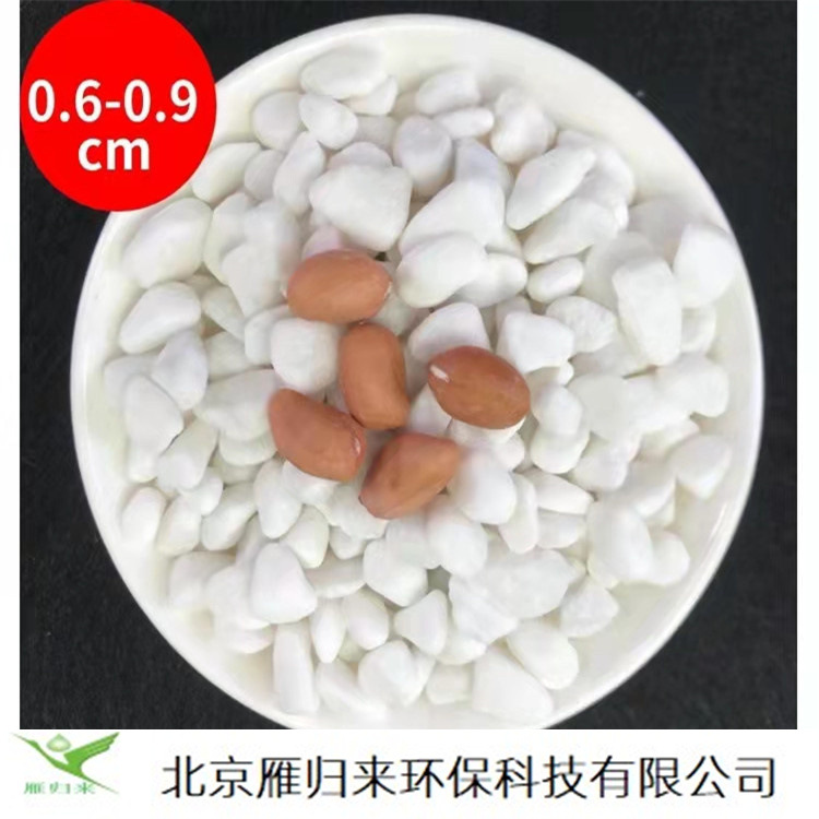白色卵石