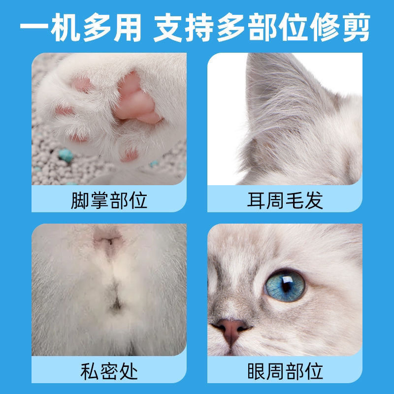 b84b1402-8e00-40e3-8fde-92f262461337.jpe