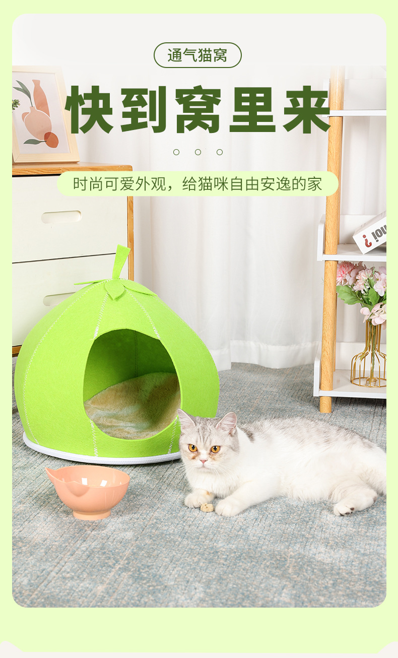 橘子宠物窝_04.jpg