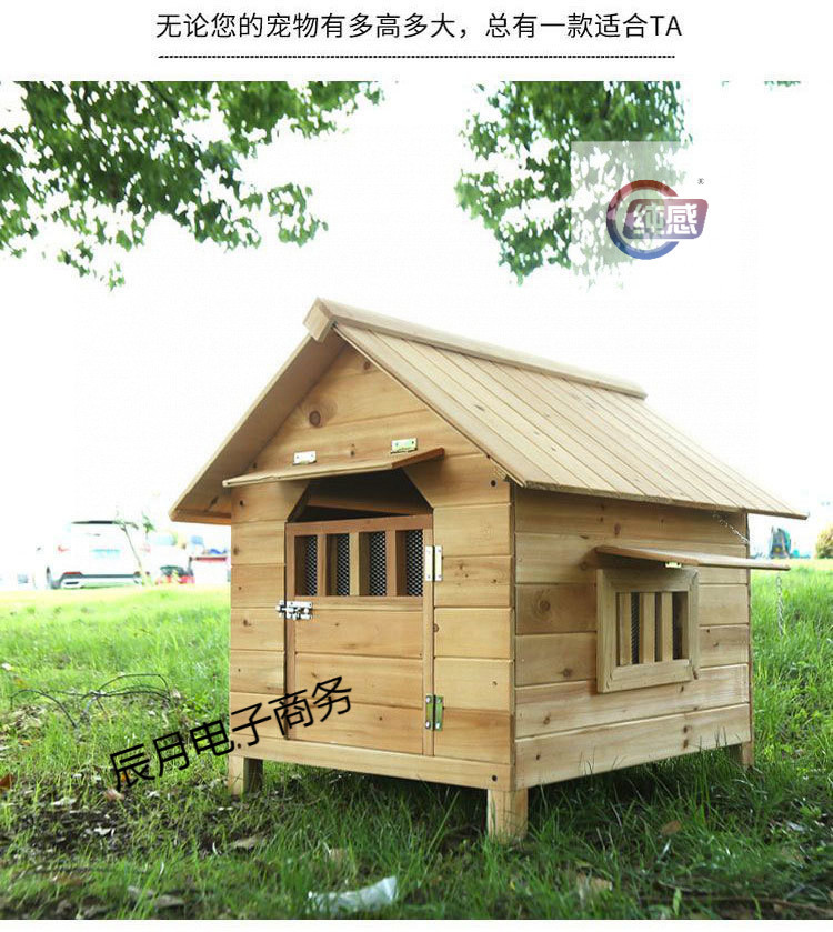 24d6a571-2384-4591-9827-2d329fc83e2b.jpe