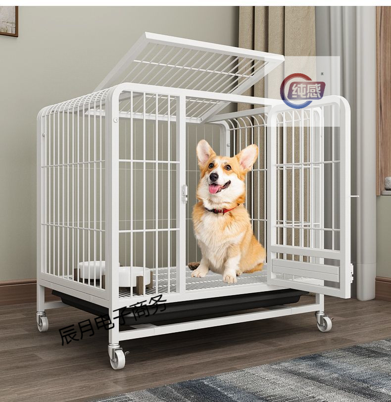 e53c9c50-4562-4596-bf9c-24ca9838cf9c.jpe