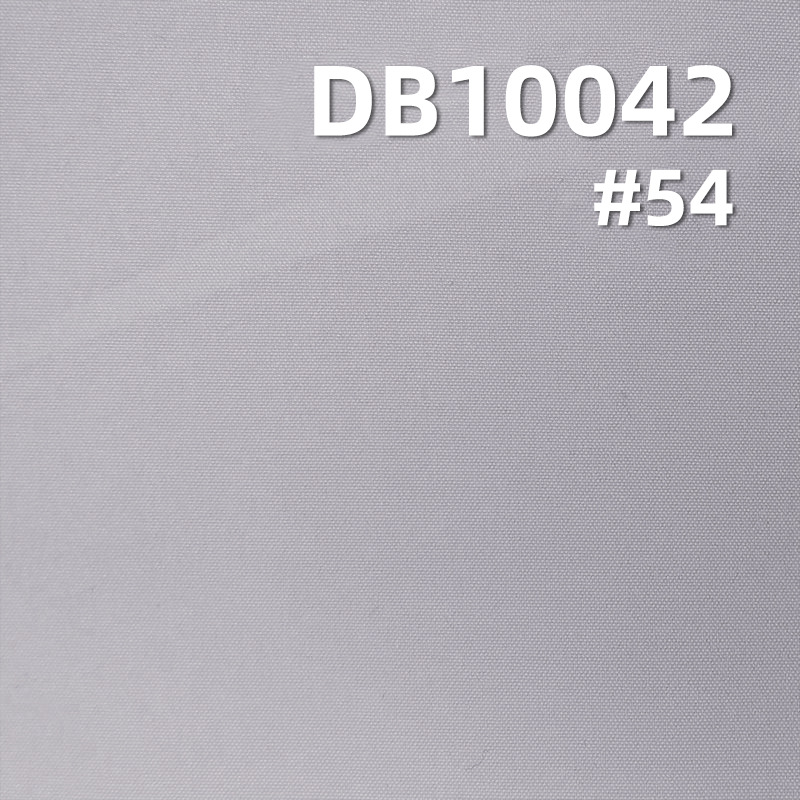 DB10042-10