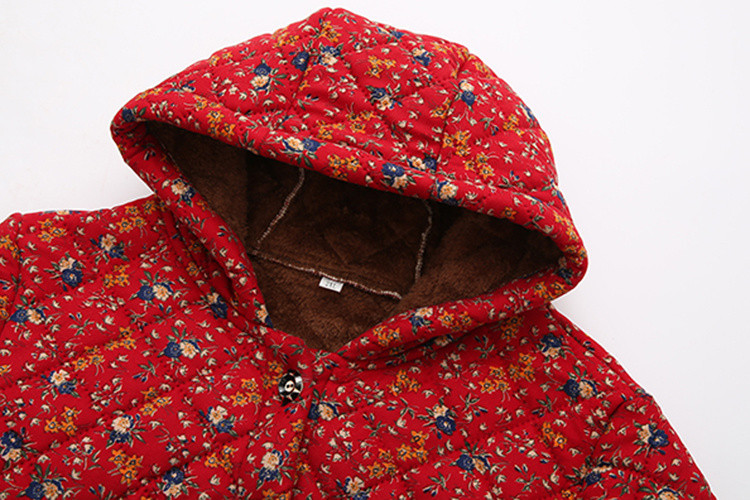 53eec768-38c1-4b5e-bf2e-9dc3b681dcf0.jpe