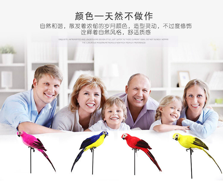 鹦鹉、_13.jpg