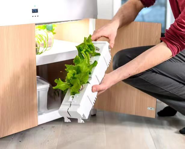 4c26cad8-3338-4c59-bb75-b6d2b6