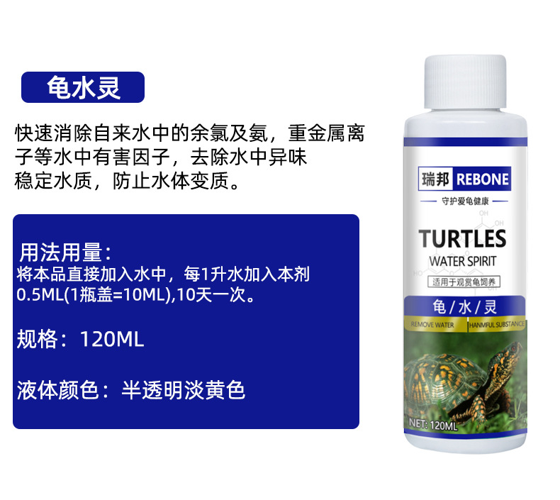 乌龟详情-恢复的_09.jpg
