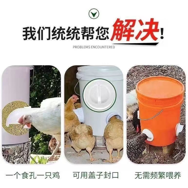 d8595d4b-c090-4e9c-975b-d959bcae98e0.jpe