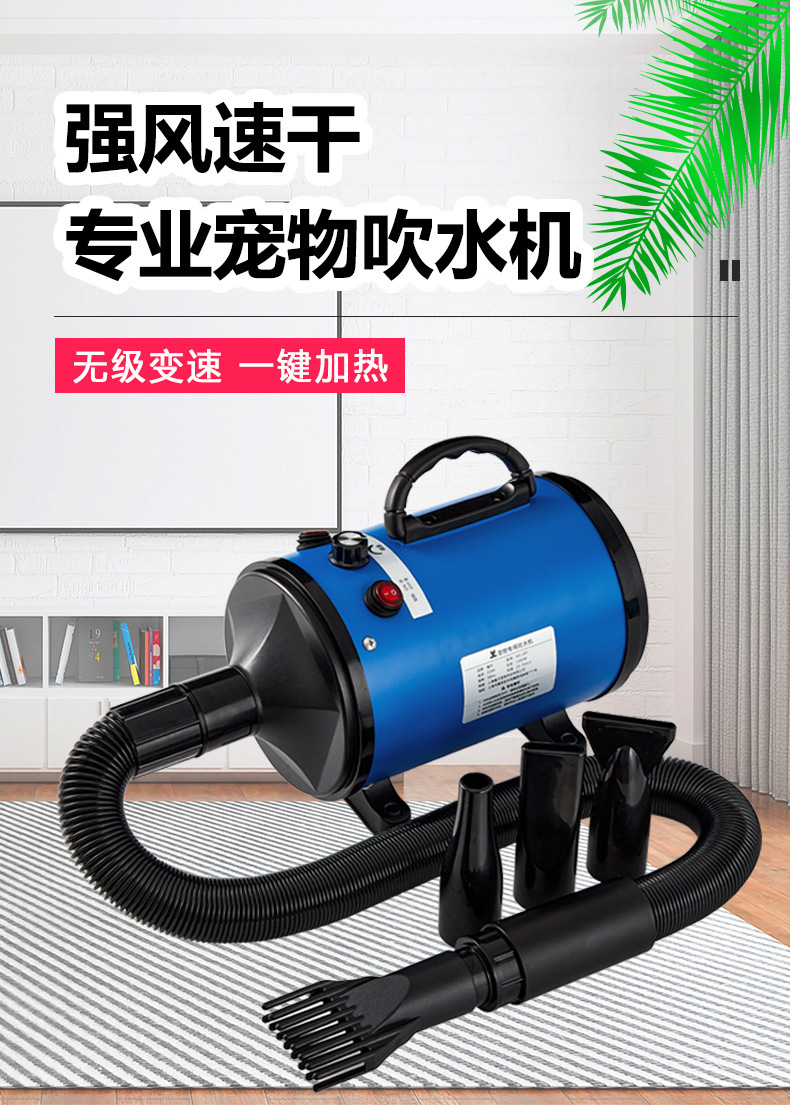 蓝色标准款
