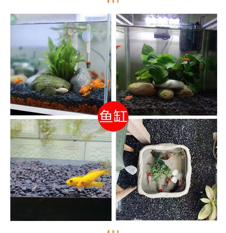 微信图片_20241102102621