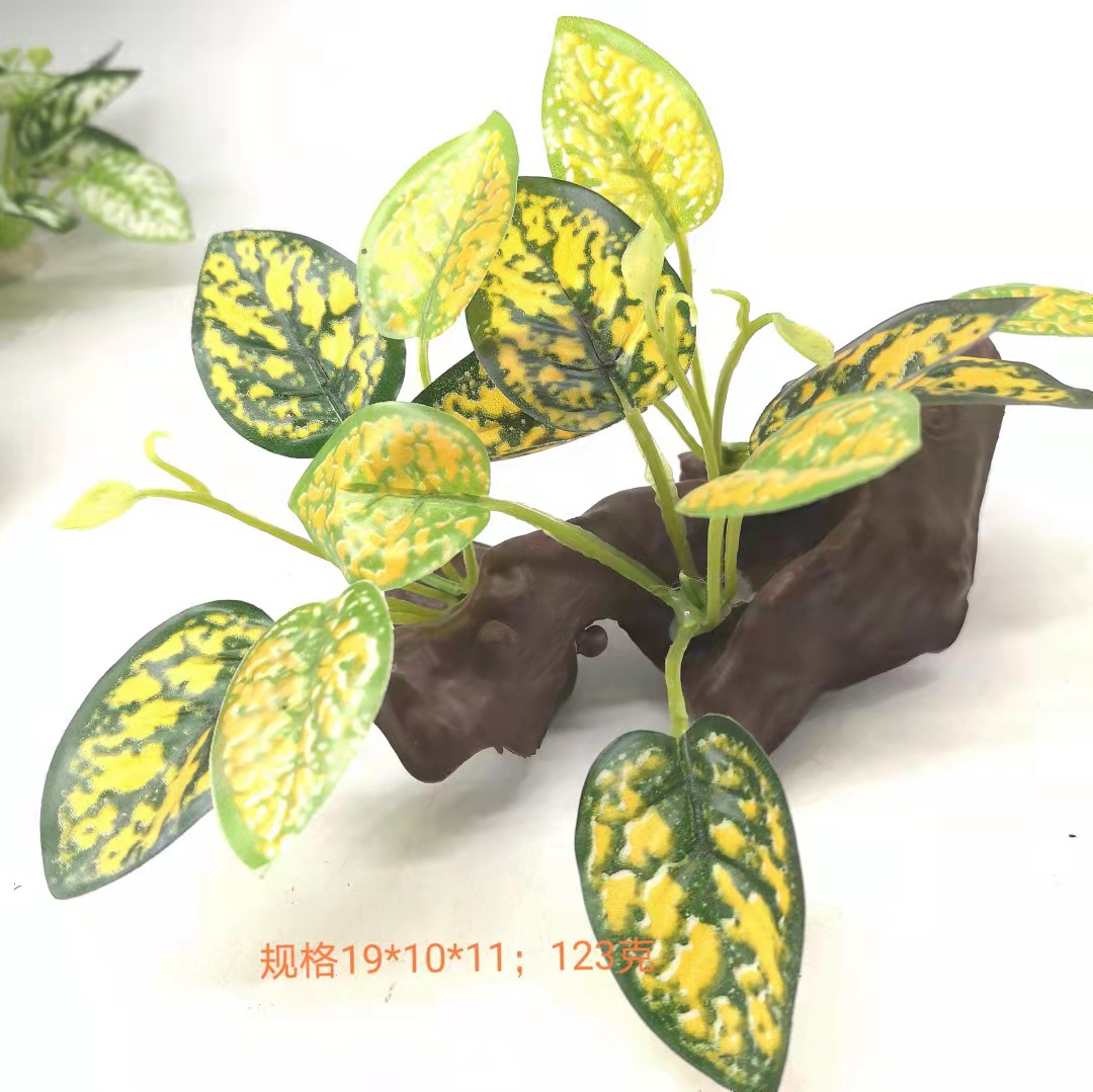 微信图片_202110111144221