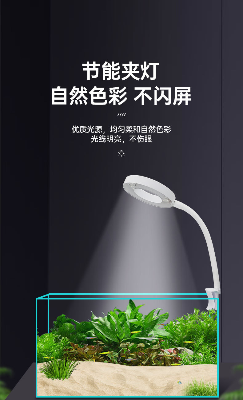 灯详情_01.jpg