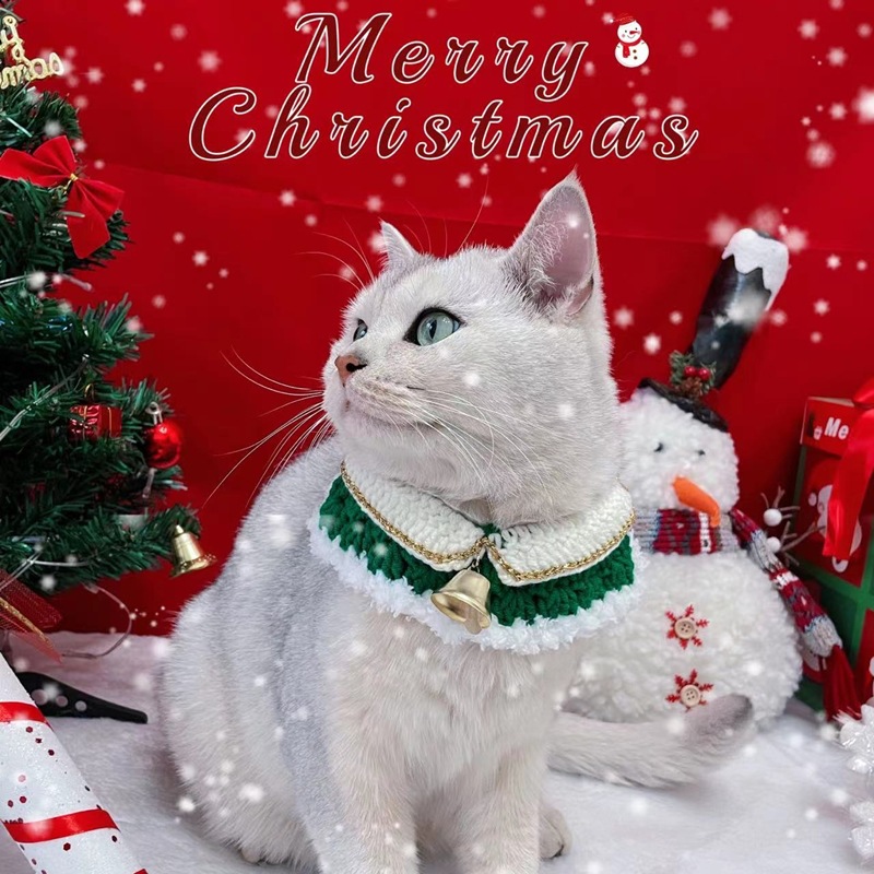 b8c6df9a9bc7f25a7ce74f6516563b