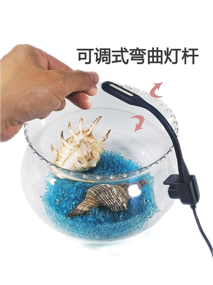 d1f14e80-0b03-4876-a86e-9adcd7ca0d9b.jpe