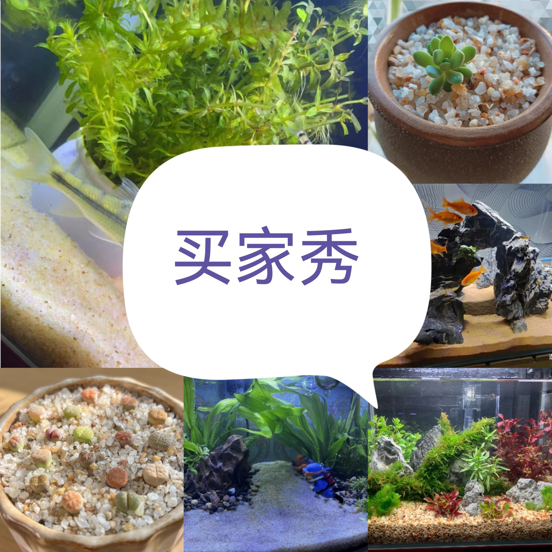 Collage_20221223_080358_edit_2