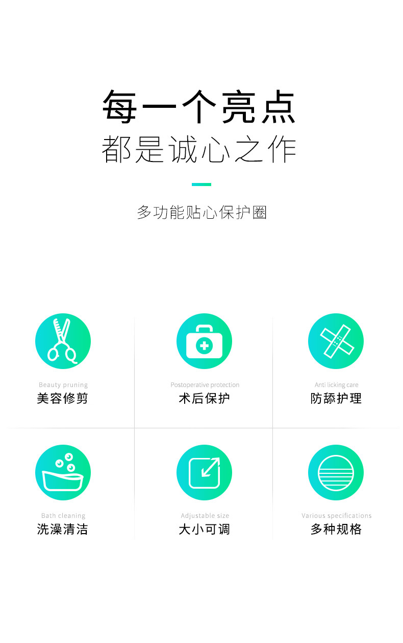 伊丽莎白圈 (2).jpg