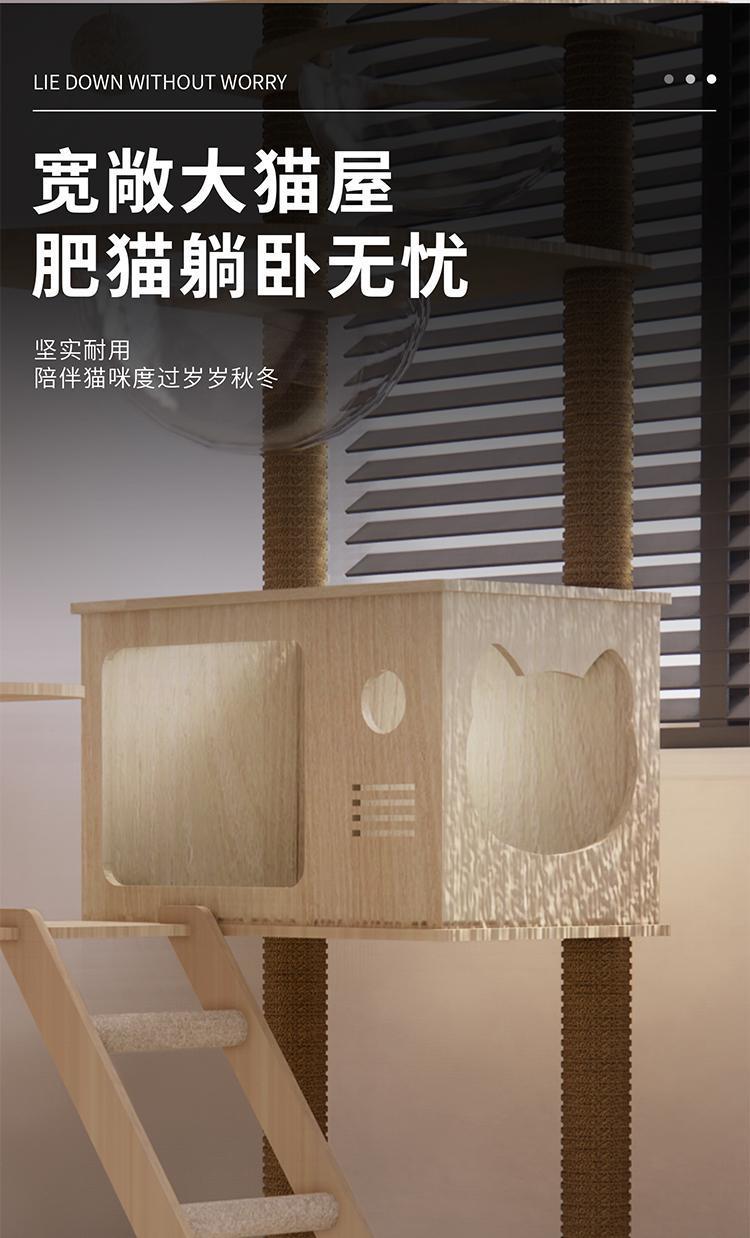 9130f9b9-1b7e-4b36-b00d-c7912239b756.jpe