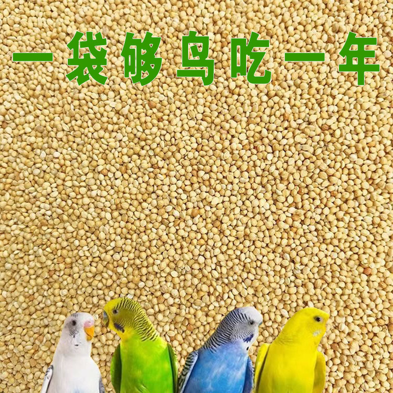 4de3a8bf-c50b-44df-ab3c-2258ef0db764.jpe