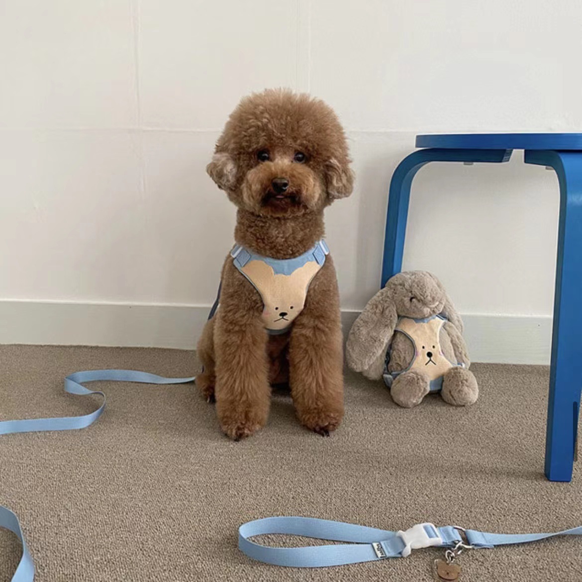 微信图片_20220624114111