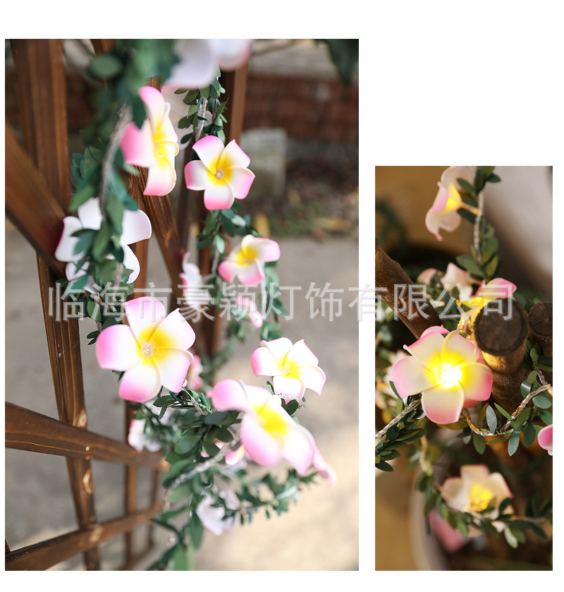 O1CN01rCWSHn1IDStTp9gWM_!!2200