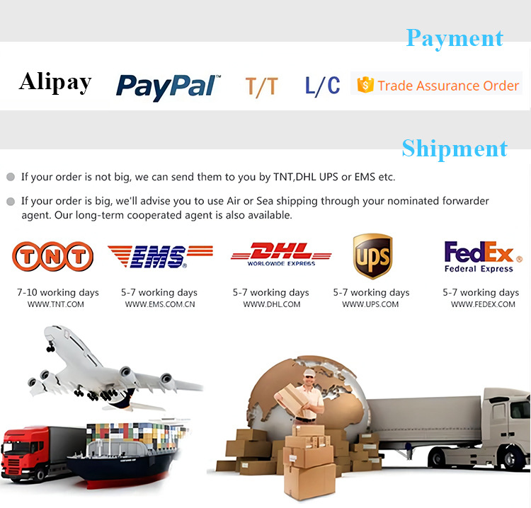 Newest 24MP 1080P Hunting Camera Night Vision Mini Wildlife Trail Camera Mini800