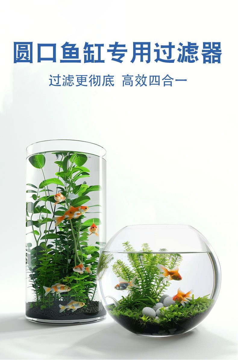 e3b68f2c-7aab-456a-82e5-d502df6a3c76.jpe